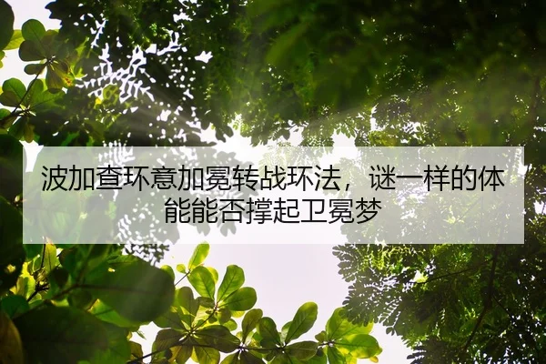 bo-jia-cha-huan-yi-jia-mian-zhuan-zhan-huan-fa-mi-yi-yang-de-ti-neng-neng-fou-cheng-qi-wei-mian-meng-2-175.jpg