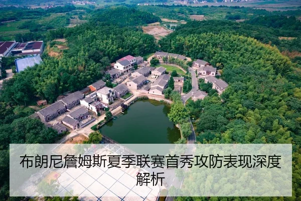 布朗尼詹姆斯夏季联赛首秀攻防表现深度解析